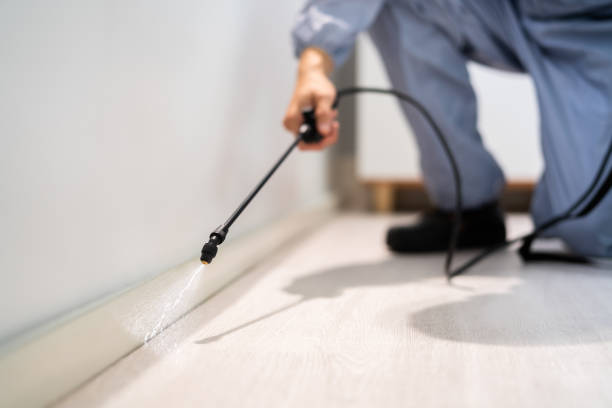 Licensed Termite Control service in Sparta, GA - Nex Pest Control