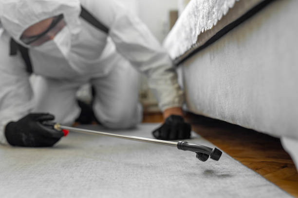 Professional Termite Control technician working in Sparta, GA