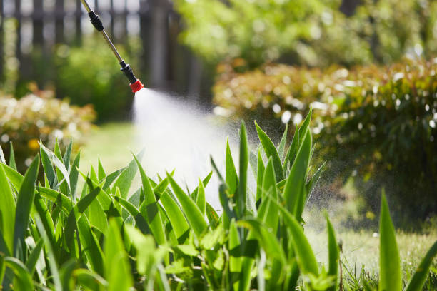 24/7 Emergency Termite Control experts in Sparta, GA