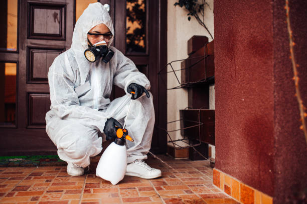Reliable Termite Control contractor in Sparta, GA by Nex Pest Control