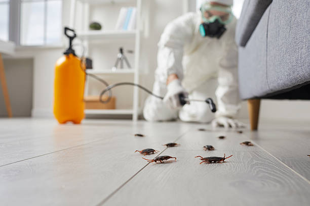 Affordable Termite Control solutions in Sparta, GA