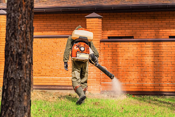 Top rated local Termite Control specialists in Sparta, GA